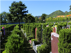北京石景山区墓地陵园有哪些？里面一个墓地多少钱？