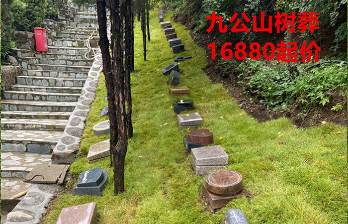 九公山长城纪念林16880元树葬墓型