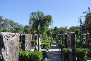 公墓墓区