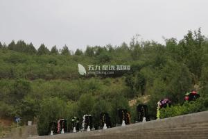 龙泉公墓之外景观