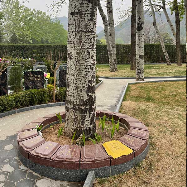 北京郊区墓地要花多少钱买？